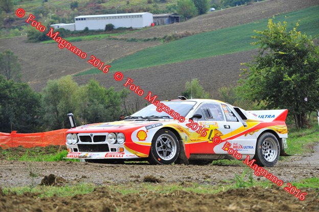 DSC_8874.JPG